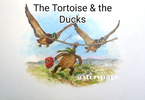 The Tortoise & the Ducks
