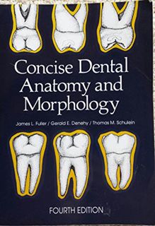 [ACCESS] EPUB KINDLE PDF EBOOK Concise Dental Anatomy and Morphology by unknown 📚