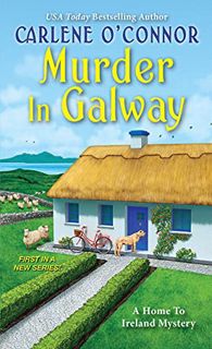 Access PDF EBOOK EPUB KINDLE Murder in Galway (A Home to Ireland Mystery Book 1) by  Carlene O'Conno
