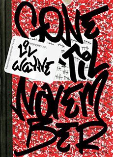 READ KINDLE PDF EBOOK EPUB Gone 'Til November: A Journal of Rikers Island by  Lil Wayne 💘