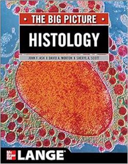 [VIEW] KINDLE PDF EBOOK EPUB Histology: The Big Picture (LANGE The Big Picture) by John Ash,David Mo
