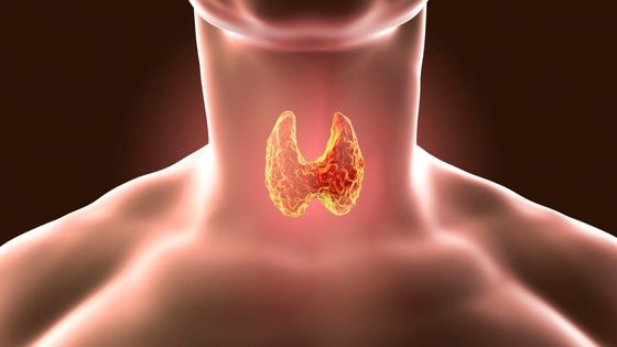 What Causes Thyroid Issues and How to Manage Them?