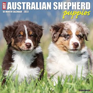 [Read] [PDF EBOOK EPUB KINDLE] Just Australian Shepherd Puppies 2023 Wall Calendar by  Willow Creek