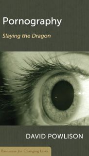 [VIEW] KINDLE PDF EBOOK EPUB Pornography: Slaying the Dragon (Resources for Changing Lives) by  Powl