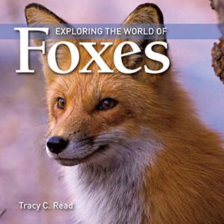 VIEW [PDF EBOOK EPUB KINDLE] Exploring the World of Foxes by  Tracy C. Read 📤