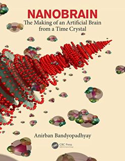 GET EBOOK EPUB KINDLE PDF Nanobrain: The Making of an Artificial Brain from a Time Crystal by  Anirb