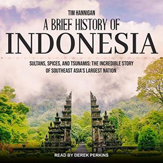[VIEW] EPUB KINDLE PDF EBOOK A Brief History of Indonesia: Sultans, Spices, and Tsunamis: The Incred