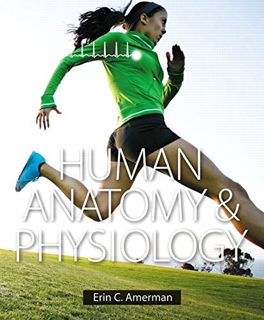 [Access] EPUB KINDLE PDF EBOOK Human Anatomy & Physiology by  Erin C. Amerman &  TALLACKSON 🖋️