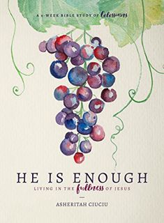 Access [KINDLE PDF EBOOK EPUB] He is Enough: Living in the Fullness of Jesus (A Study in Colossians)
