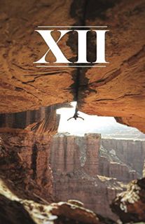 [GET] EPUB KINDLE PDF EBOOK The Climbing Zine Volume 12 by  Luke Mehall 📝