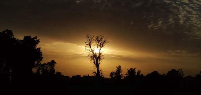 Peepal tree on which many stories are made, come read another story,,,