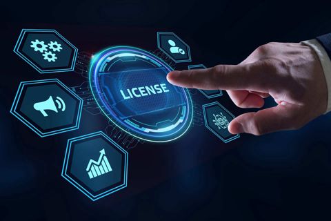 Software Licensing Market Size, Share, Demand and Growth By 2030