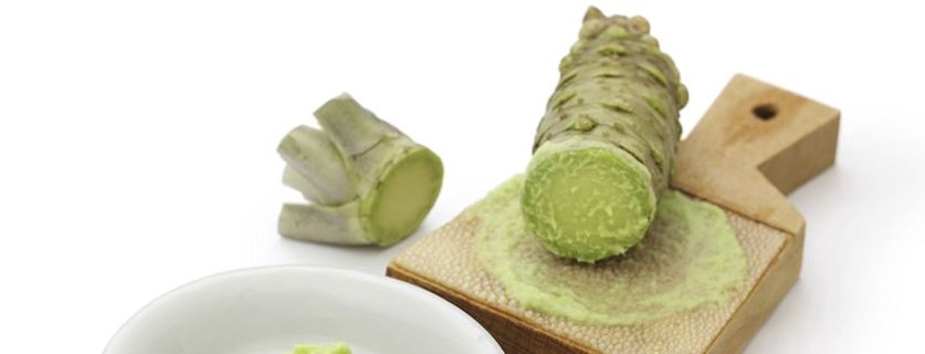 The healing power of Wasabi on our memory.