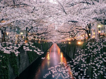 Take a moment to breathe in the beauty of Japan's natural wonders