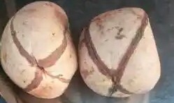 Historical Connection Between The Igbo's And Kola Nut.