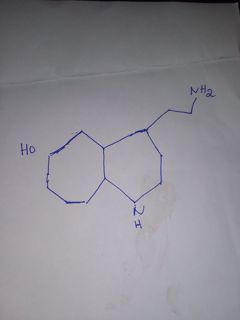 Serrotonin