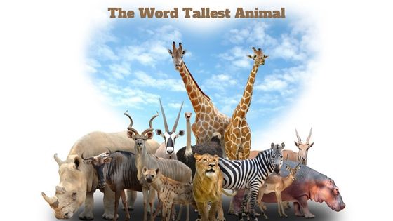The Word Tallest Animal
