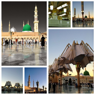 Top 15 Amazing Places to Visit in Medina