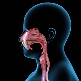 KNOW YOUR (ENT) EAR, NOSE AND THROAT COMMON PROBLEMS