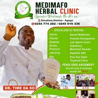 How Medimafo Herbal Clinic & Dr Time Da So Is Helping Mother Ghana In Nation Building