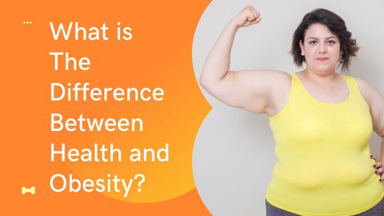 What is The Difference Between Health and Obesity?