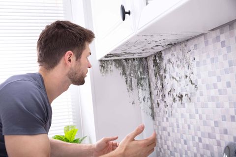 Black Mold Removal - Removing Black Mold The Natural Way