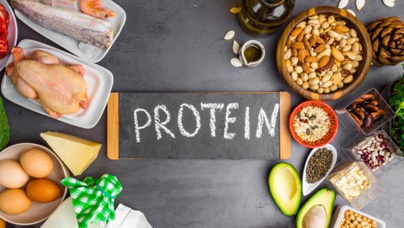 What is The Importance of Proteins to Stay Healthy?