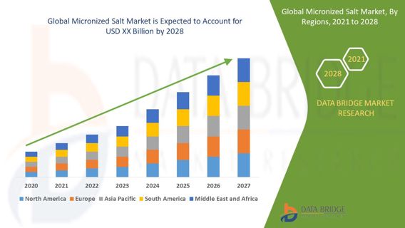 Micronized Salt Market Trends, Drivers, Restraints, Opportunities and Forecast by 2028
