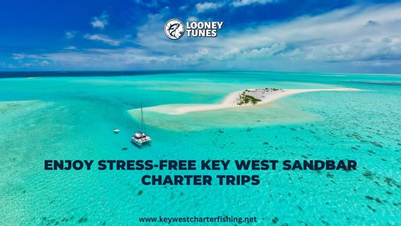 Enjoy Stress-free Key West Sandbar Charter Trips
