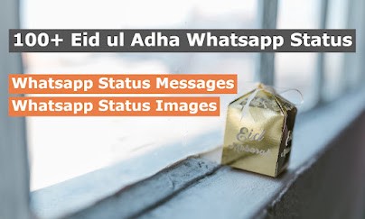 100+ Eid ul Adha Whatsapp Status 2023 [Eid Whatsapp Status, Messages & Images]