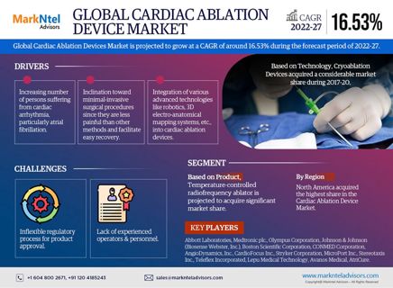 Uncovering Key Growth Opportunities in the Cardiac Ablation Devices Market