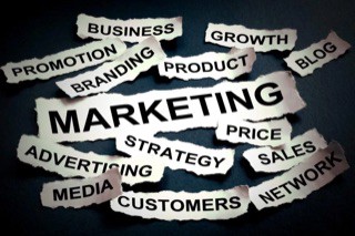 Marketing Insights and strategies