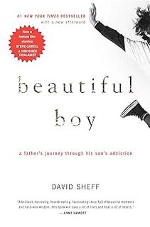 [READ Book Beautiful Boy: A Father's Journey Through His Son's Addiction by David Sheff (Author)]