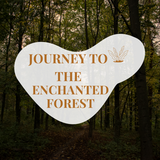 Journey to the Enchanted Forest: A Magical Adventure of Wonder and Discovery