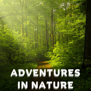 "Adventures in Nature: Exploring National Parks and Natural Wonders"