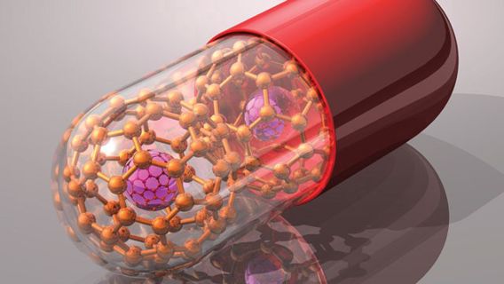 Can Nanomedicine Increase Human Lifespan?