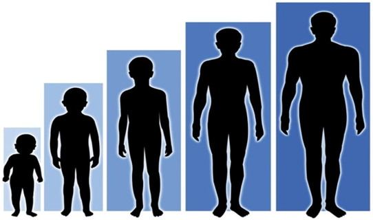 Relationship Between Sleep and Height Growth