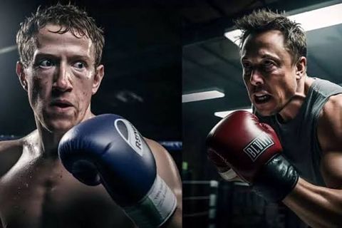 What really is the cage fight. 😯 Elon vs Zuckerberg