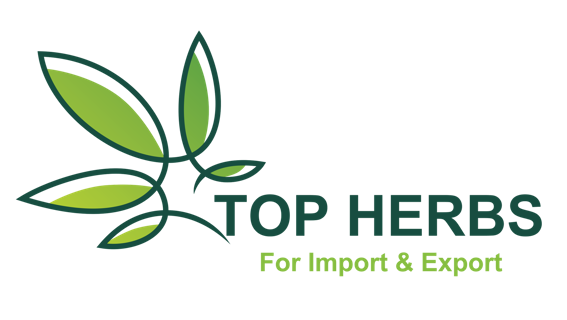 Exploring the Flavors of Egypt: Your Trusted Organic Herb, Spice, and Seed Import Company