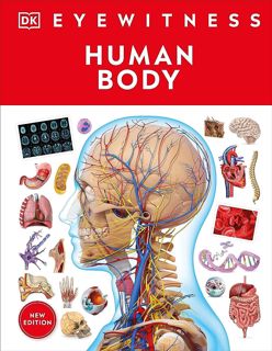 Understanding the Wonders of the Human Body: A Comprehensive Guide