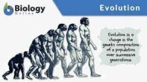 Evolutionary change in the body