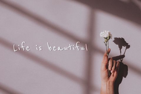 “Life is Beautiful”.