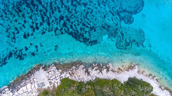 Exploring the Enchanting Wonders of the Great Barrier Reef