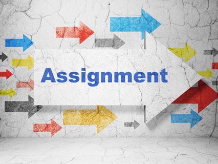 Take Coursework Assignment Experts Help Service
