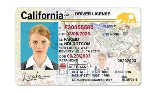 Get your Valid DLVA DMV  CC cards$