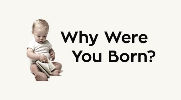 Why Were You Born?

by Erik Jones