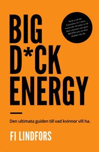 Ladda ner [PDF] Big dick energy : den ultimata guiden till vad kvinnor vill ha