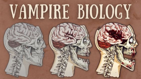 Vampire Biology Explained - The Science of Vampirism