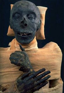 Mummy of king thutmose