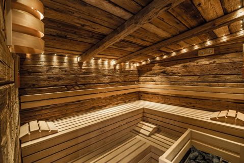 Exploring the Benefits and Science of the Biological Sauna Experience